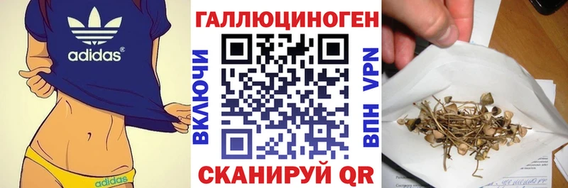 Купить где  Раменское  Псилоцибиновые грибы Magic Shrooms 